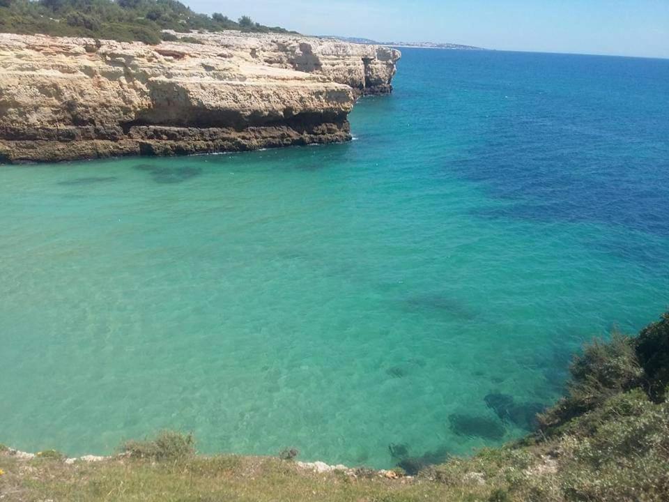 Al Algarve - Alojamento Local Com Excelente Localizacao Carvoeiro  Buitenkant foto