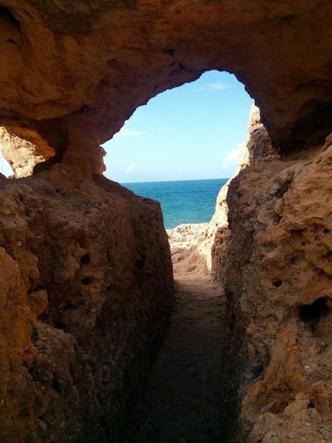 Al Algarve - Alojamento Local Com Excelente Localizacao Carvoeiro  Buitenkant foto
