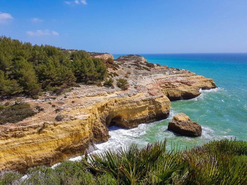Al Algarve - Alojamento Local Com Excelente Localizacao Carvoeiro  Buitenkant foto